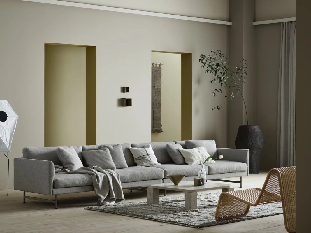 Canvas collection 2024 cover image