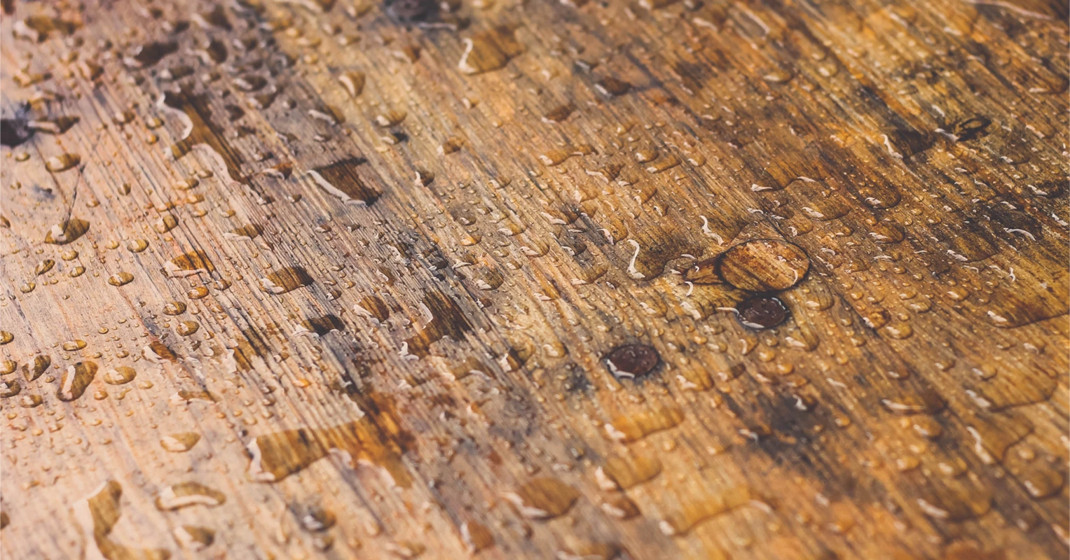 Piece of wood covered in rain drops. 